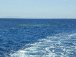 Underwater reefs, viewed from our Seastar Cruises tour boat