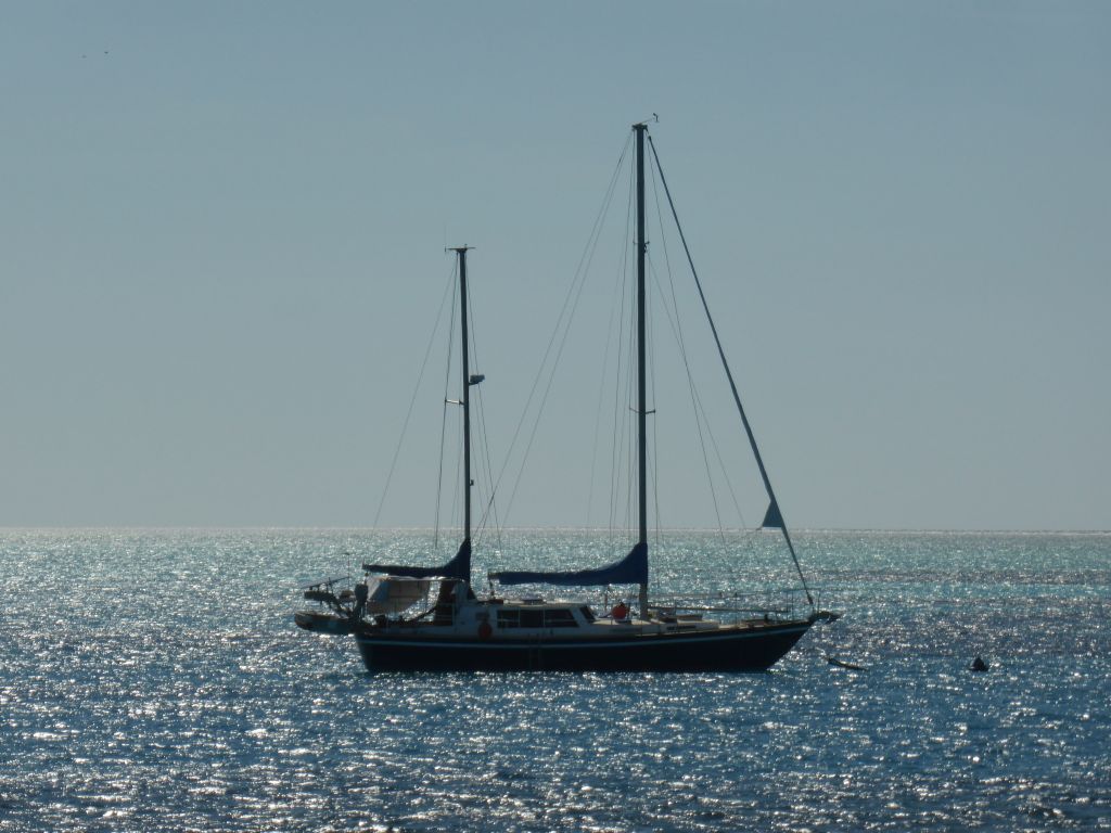 Sail boat, viewed from our Seastar Cruises tour boat