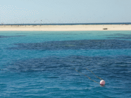 Michaelmas Cay with birds and underwater reefs, viewed from our Seastar Cruises tour boat