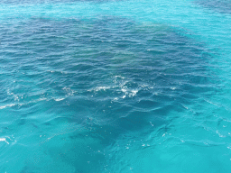 Underwater reefs, viewed from our Seastar Cruises tour boat