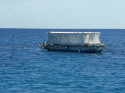 Boat, viewed from our Seastar Cruises tour boat