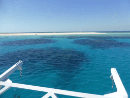 Michaelmas Cay and underwater reefs, viewed from our Seastar Cruises tour boat