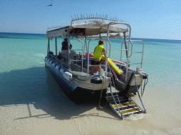 Tour guide at the Seastar Cruises glass bottom boat, viewed from Michaelmas Cay