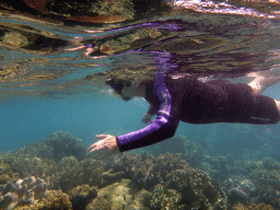 Coral and snorkeler, viewed from underwater