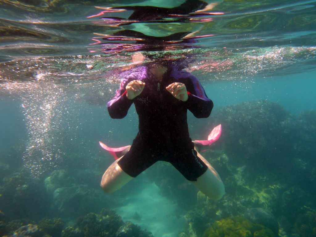 Coral and snorkeler, viewed from underwater