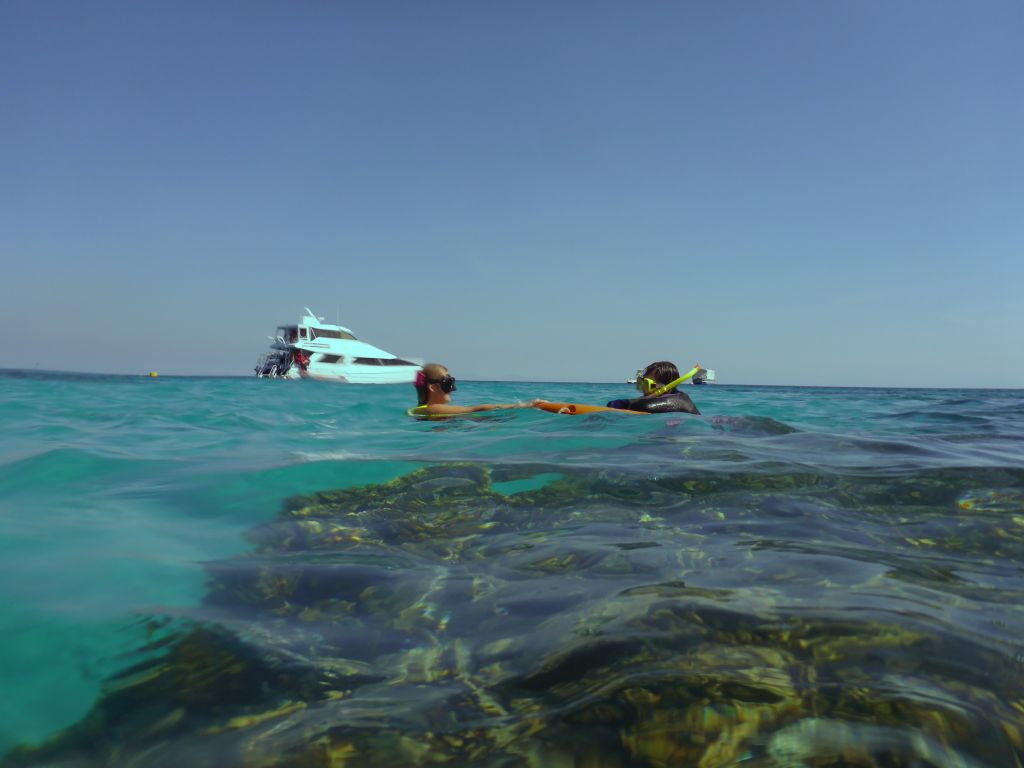 Snorkelers and our Seastar Cruises tour boat, viewed from the reefs at Michaelmas Cay