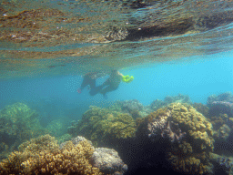 Coral and snorkelers, viewed from underwater