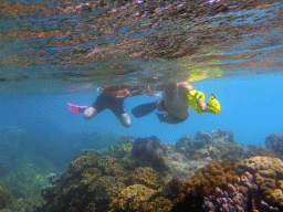 Coral and snorkelers, viewed from underwater