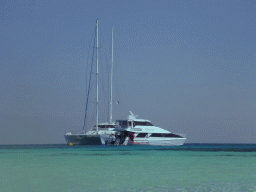 Our Seastar Cruises tour boat, viewed from Michaelmas Cay