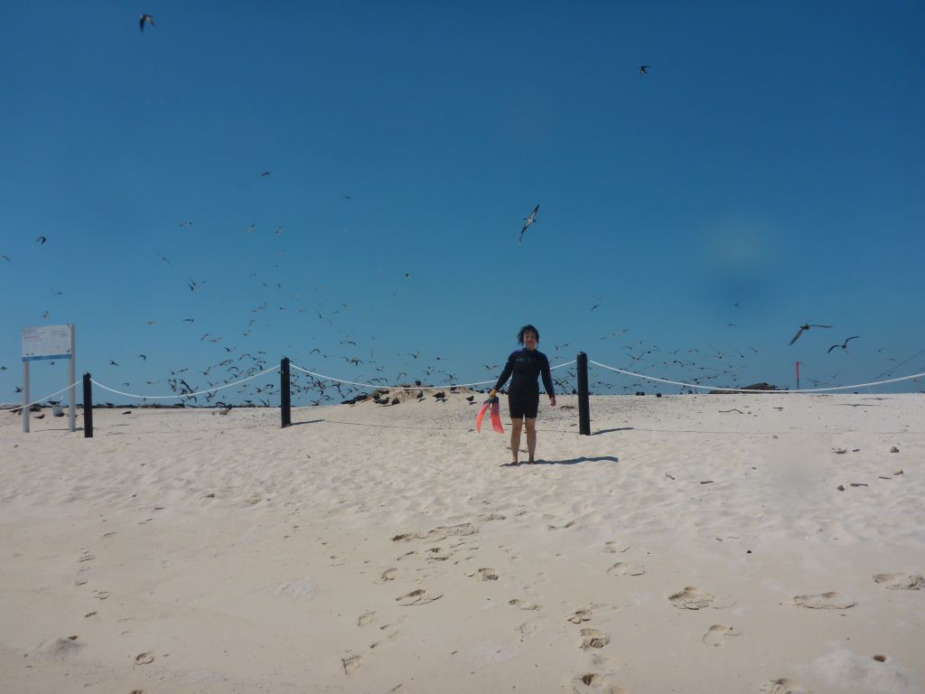 Miaomiao with snorkeling equipment and birds at Michaelmas Cay