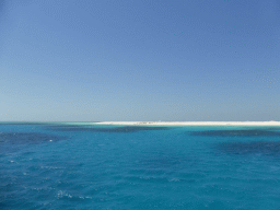 Michaelmas Cay, viewed from our Seastar Cruises tour boat