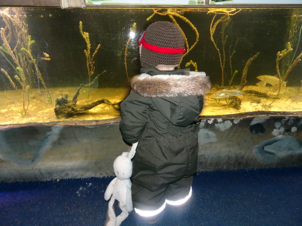 Max in front of an aquarium with fish at the Brabant hall at the Dierenrijk zoo