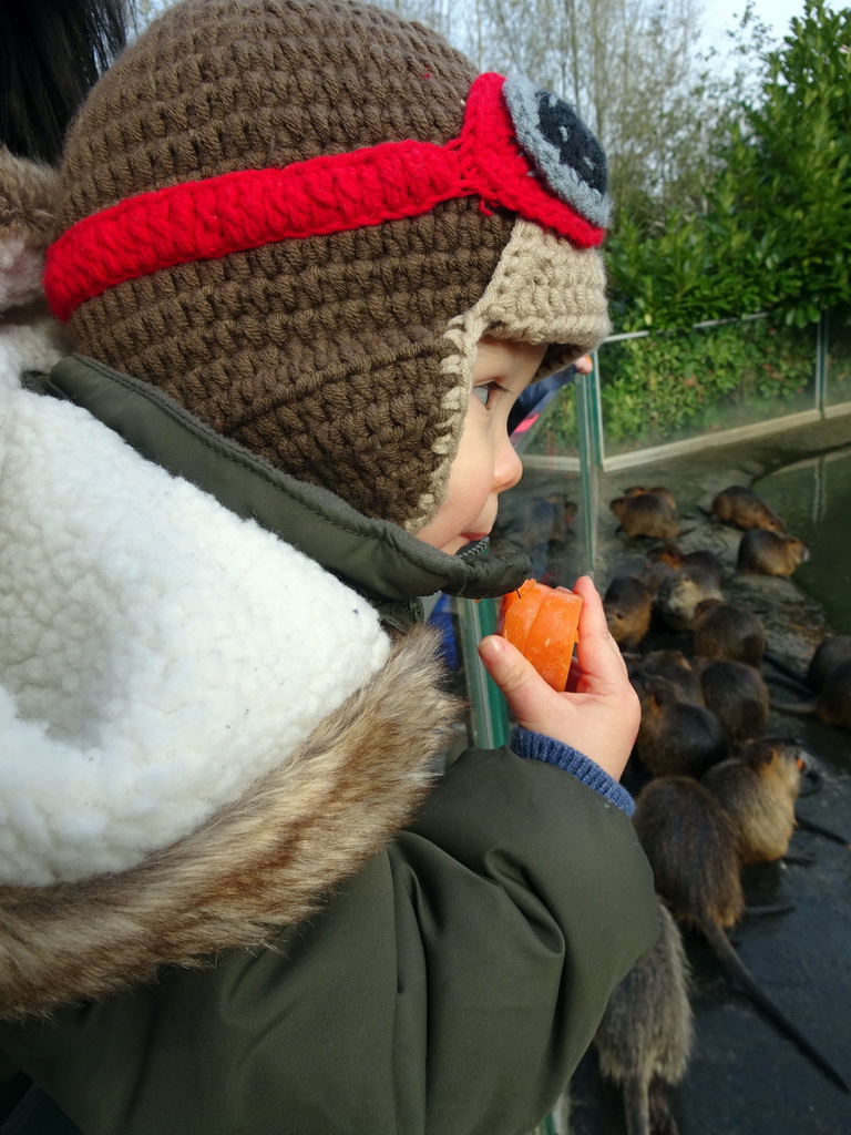 Max with Coypus at the Dierenrijk zoo, during the `Toer de Voer` tour