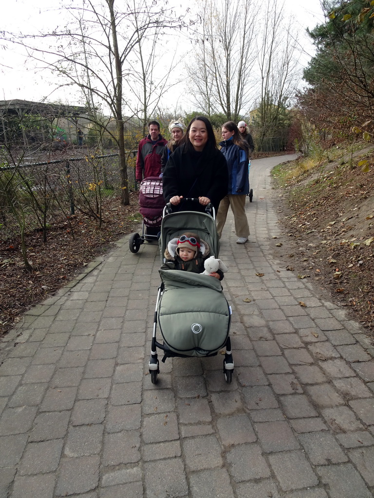 Miaomiao and Max at the Dierenrijk zoo, during the `Toer de Voer` tour