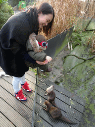 Miaomiao and Max feeding Oriental Small-Clawed Otters at the Dierenrijk zoo