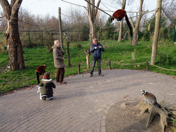 Max with Ring-tailed Lemurs and Red Ruffed Lemurs at the Dierenrijk zoo