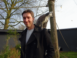Tim with Ring-tailed Lemurs at the Dierenrijk zoo