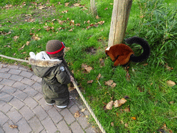 Max with a Red Ruffed Lemur at the Dierenrijk zoo