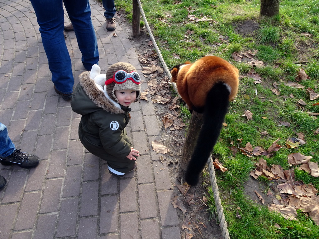Max with a Red Ruffed Lemur at the Dierenrijk zoo