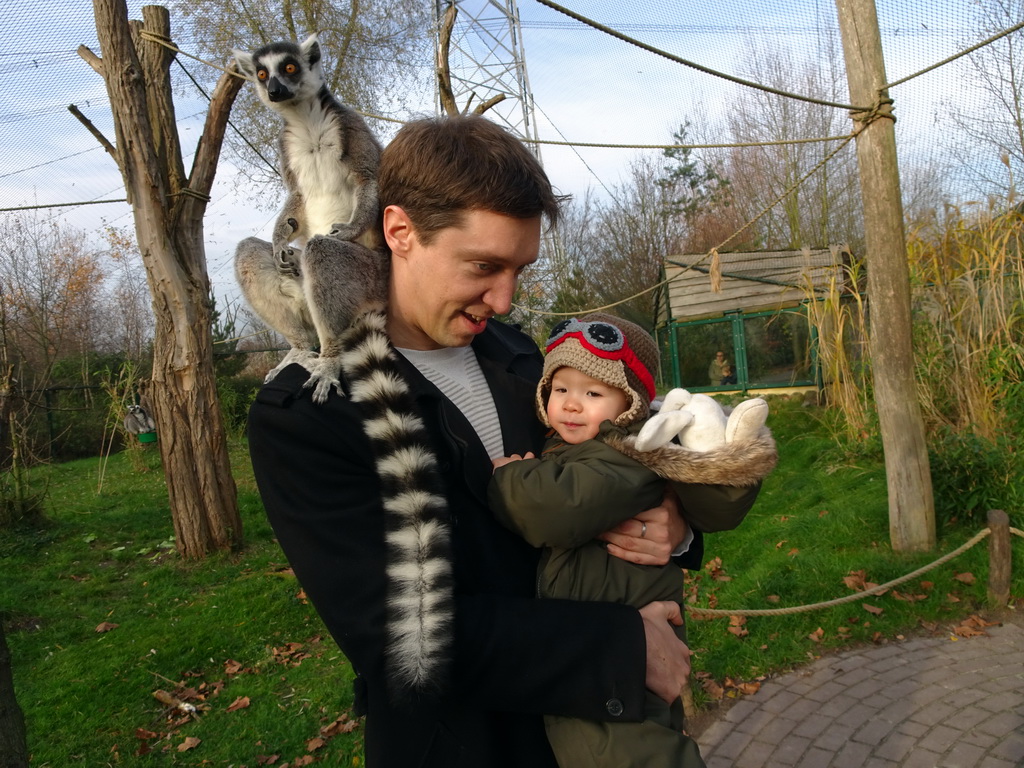 Tim and Max with a Ring-tailed Lemur at the Dierenrijk zoo