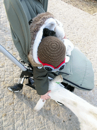 Max with a Goat at the Dierenrijk zoo