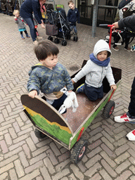 Max and his friend in a cart at the Dierenrijk zoo