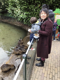 Miaomiao and Max feeding Coypus at the Dierenrijk zoo
