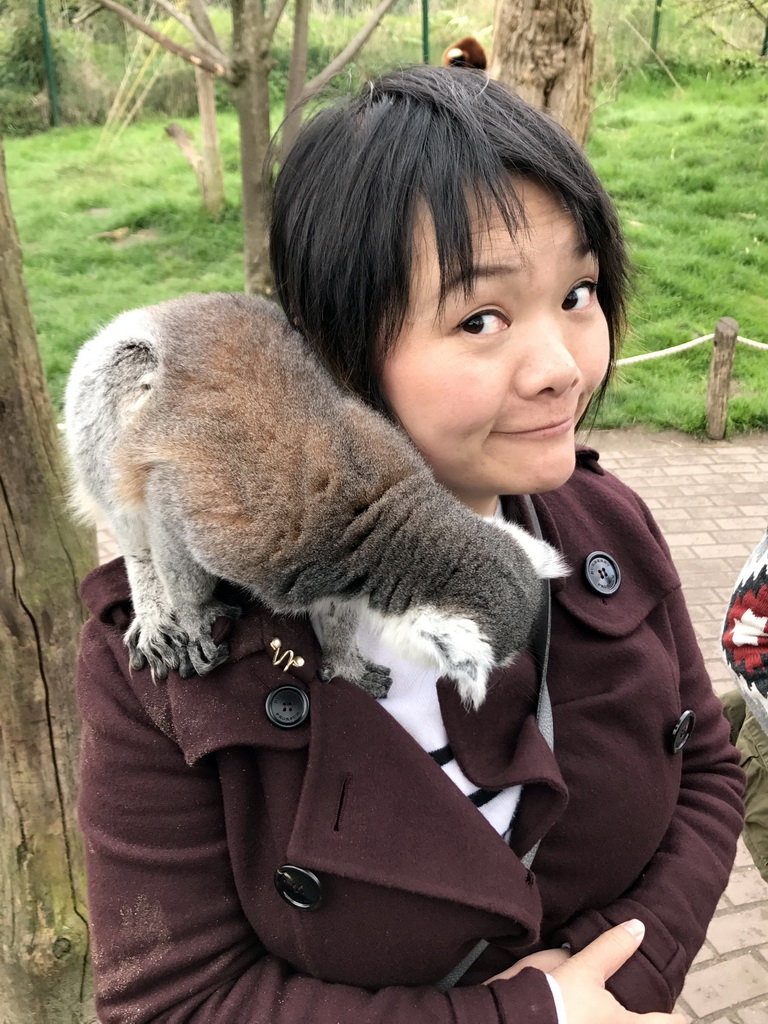 Miaomiao with a Ring-tailed Lemur at the Dierenrijk zoo