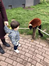 Max with a Red Ruffed Lemur at the Dierenrijk zoo