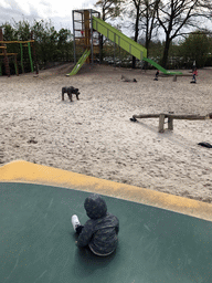Max at the trampoline at the playground near Restaurant Smulrijk at the Dierenrijk zoo