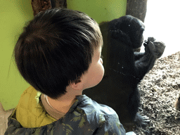 Max with a Chimpanzee at the Indoor Apenkooien hall at the Dierenrijk zoo