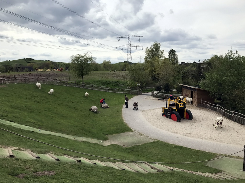 Area of the Goats and Alpine Ibexes at the Dierenrijk zoo