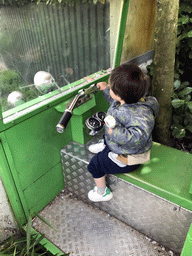 Max on a cart at the Dierenrijk zoo