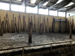 The indoor enclosure of the Asian Elephants at the Dierenrijk zoo