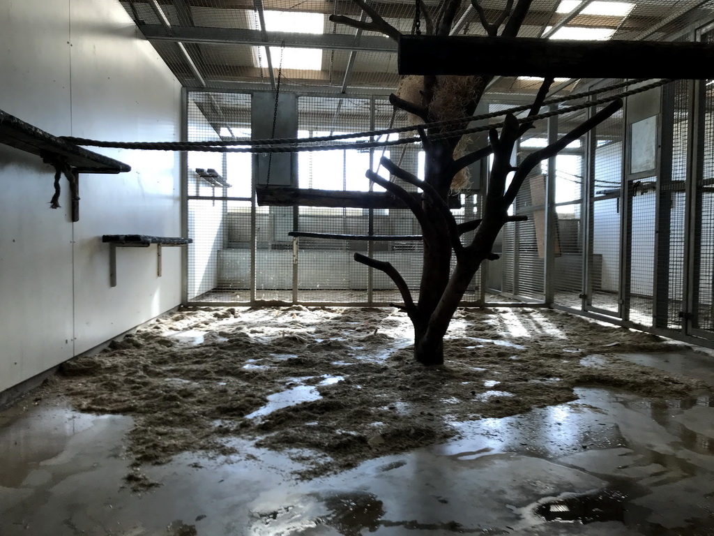 The indoor enclosure of the Crab-eating Macaques at the Dierenrijk zoo