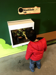 Max with a Stick Insect at the Indoor Apenkooien hall at the Dierenrijk zoo