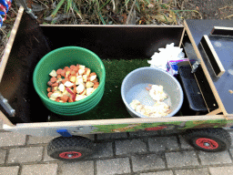 Cart with apples and chicks at the Dierenrijk zoo, during the `Toer de Voer` tour