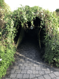 Tunnel at the center of the Dierenrijk zoo
