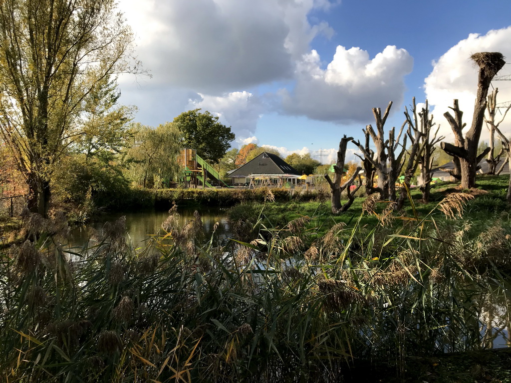 Creek, the enclosure of the Chimpanzees and the playground near Restaurant Smulrijk at the Dierenrijk zoo