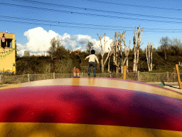 Max at the trampoline at the playground near Restaurant Smulrijk at the Dierenrijk zoo