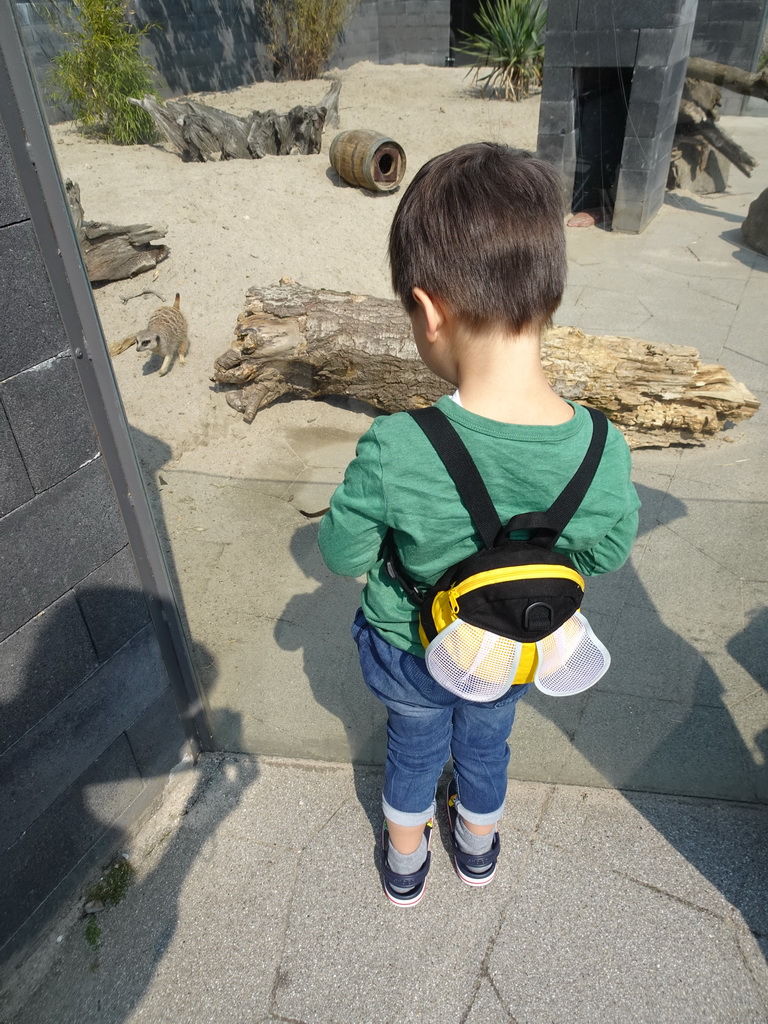 Max with Meerkats in front of the Dierenrijk zoo