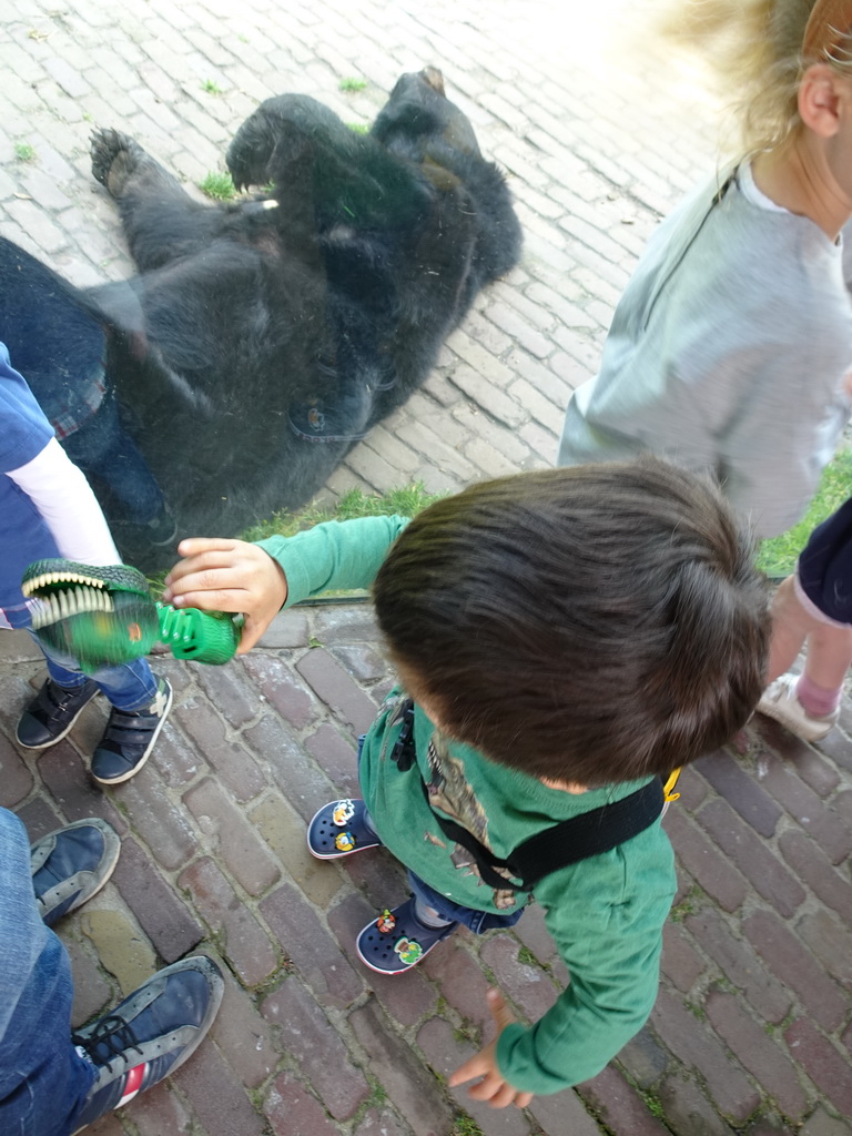 Max with an Asian Black Bear at the Dierenrijk zoo