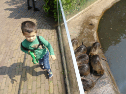 Max with Coypus at the Dierenrijk zoo
