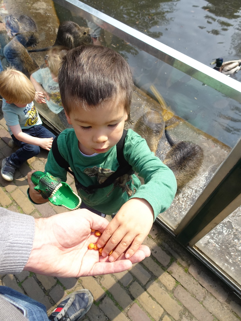 Max feeding Coypus at the Dierenrijk zoo