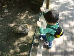 Max with a Raccoon Dog at the Dierenrijk zoo