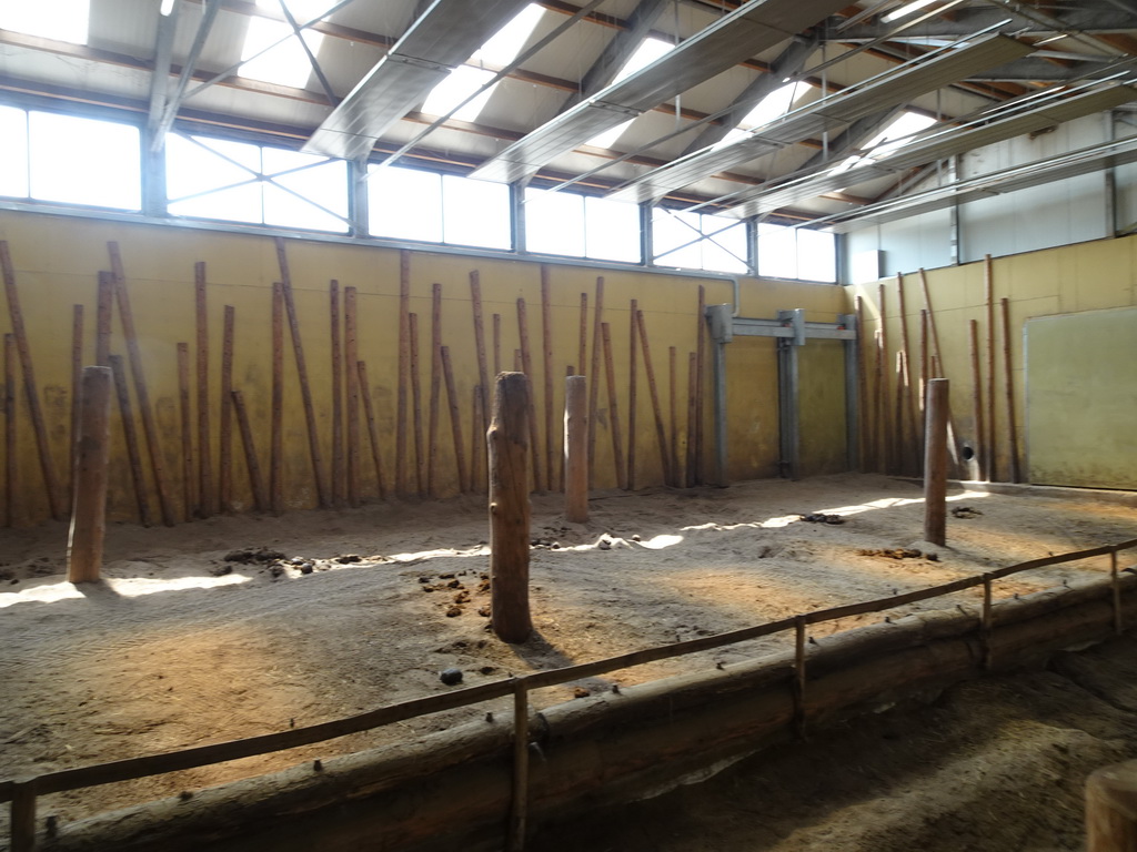 The indoor enclosure of the Asian Elephants at the Dierenrijk zoo