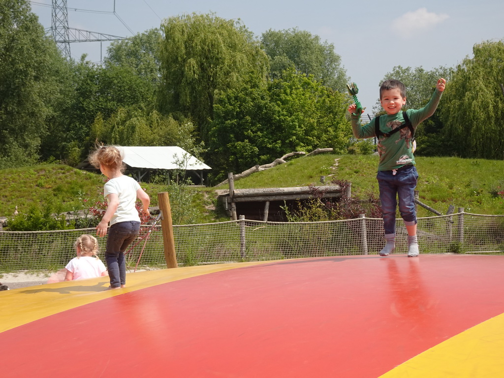 Max at the trampoline at the playground near Restaurant Smulrijk at the Dierenrijk zoo