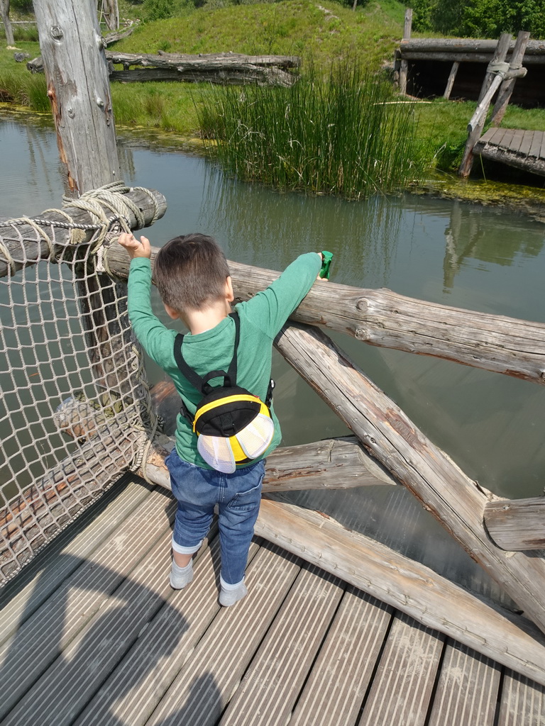 Max feeding the Common Carps at the Dierenrijk zoo