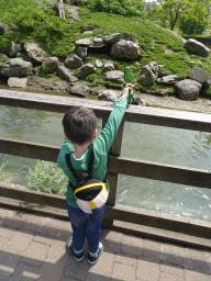 Max feeding the Common Carps at the Dierenrijk zoo