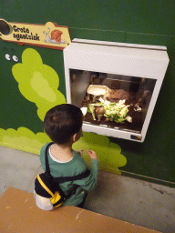 Max with an African Giant Snail at the Indoor Apenkooien hall at the Dierenrijk zoo